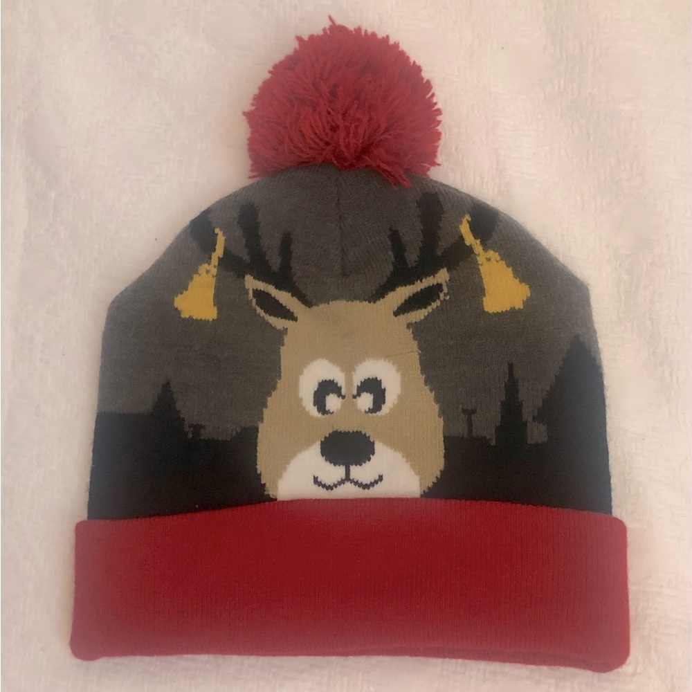 NWOT Festive Fun Pom Pom Festive Fun Beani